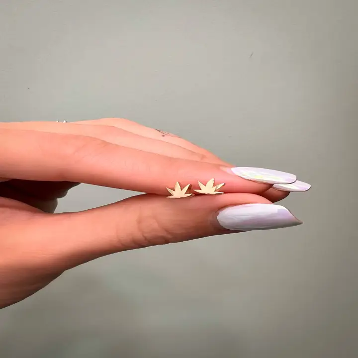 گوشواره فرازر frasier-earrings