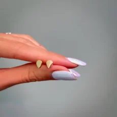 گوشواره فرازر