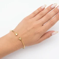 بنگل طرح ستاره
